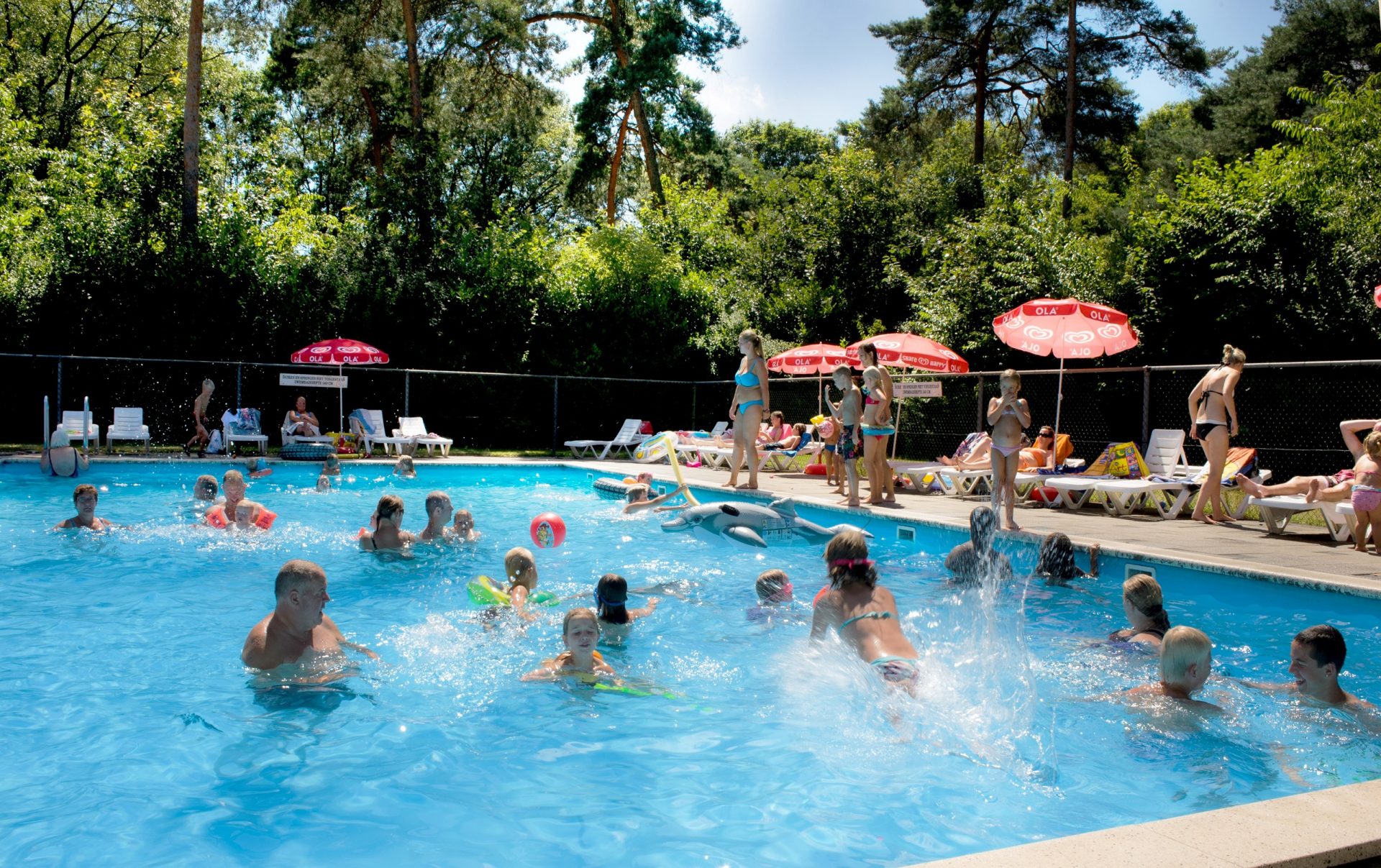 Ultiem Genieten Camping Brabant Met Zwembad De Kienehoef