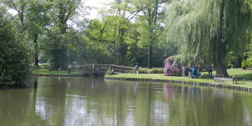 Streekpark de Kienehoef in het Brabantse Sint-Oedenrode
