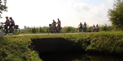 Heerlijk fietsen door de mooie natuur van Sint-Oedenrode, de Kienehoef